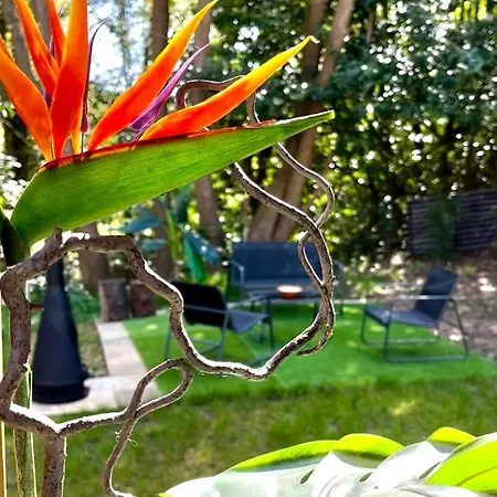 Tiki House M-home-climatise - Belle Parcelle ! *