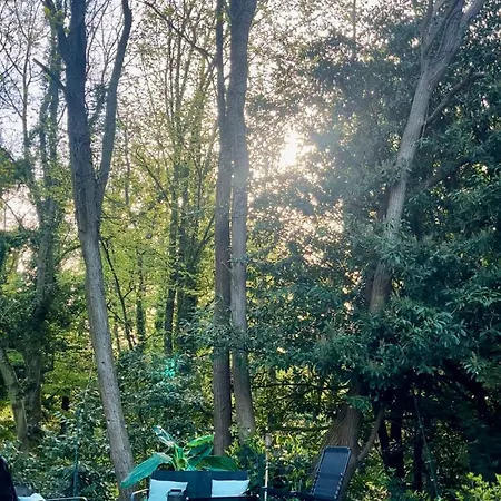 Campsite Tiki House M-home-climatise - Belle Parcelle !