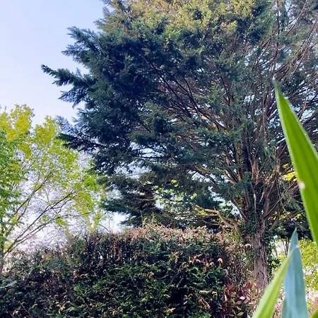 Tiki House M-home-climatise - Belle Parcelle !