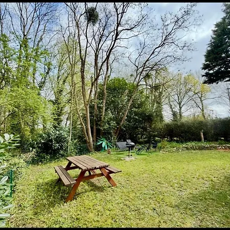 Tiki House M-home-climatisé - Belle Parcelle !